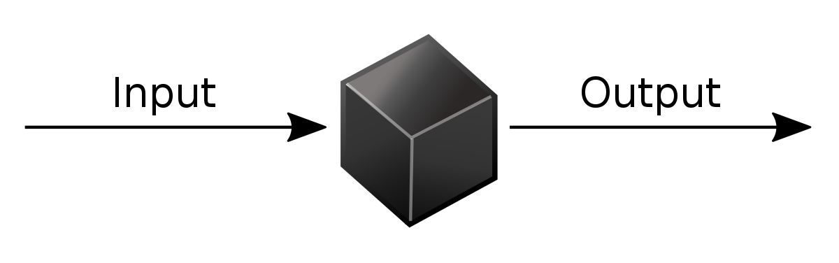 A diagram depicting a conceptual black box system/model with input and output functionality.