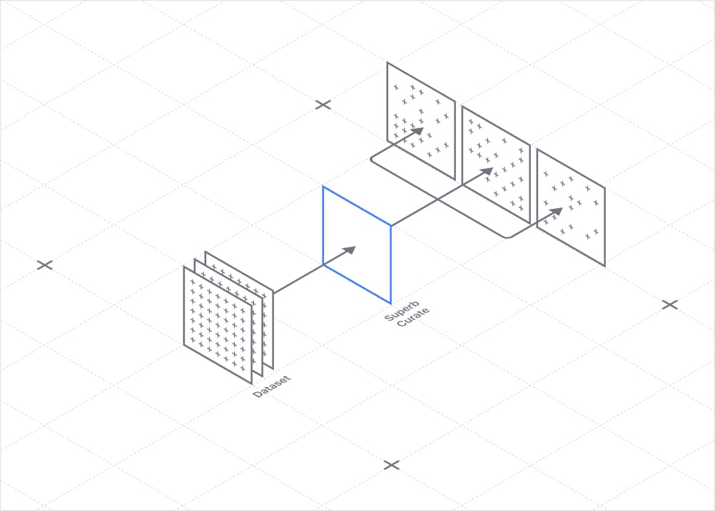 Data Management & Curation
