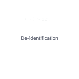 PII De-Identification