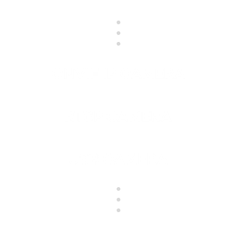 Camera Support